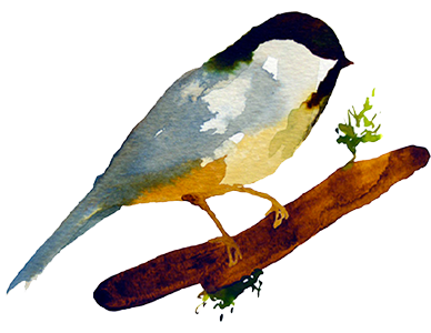 Make Space for Beauty