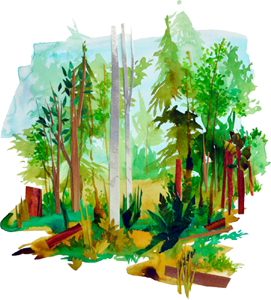 In the Direction of Dreams